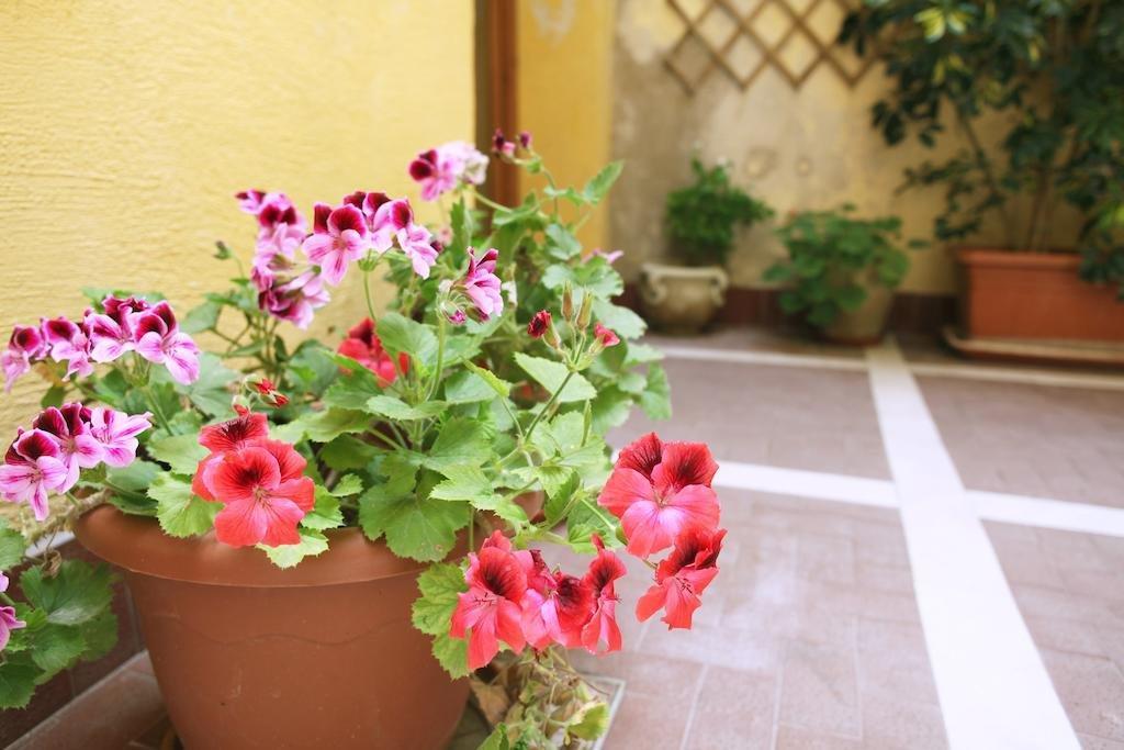 Orfani Apartments Trapani Dış mekan fotoğraf
